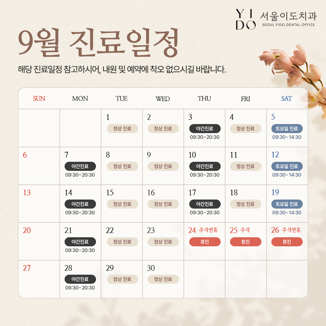 팝업